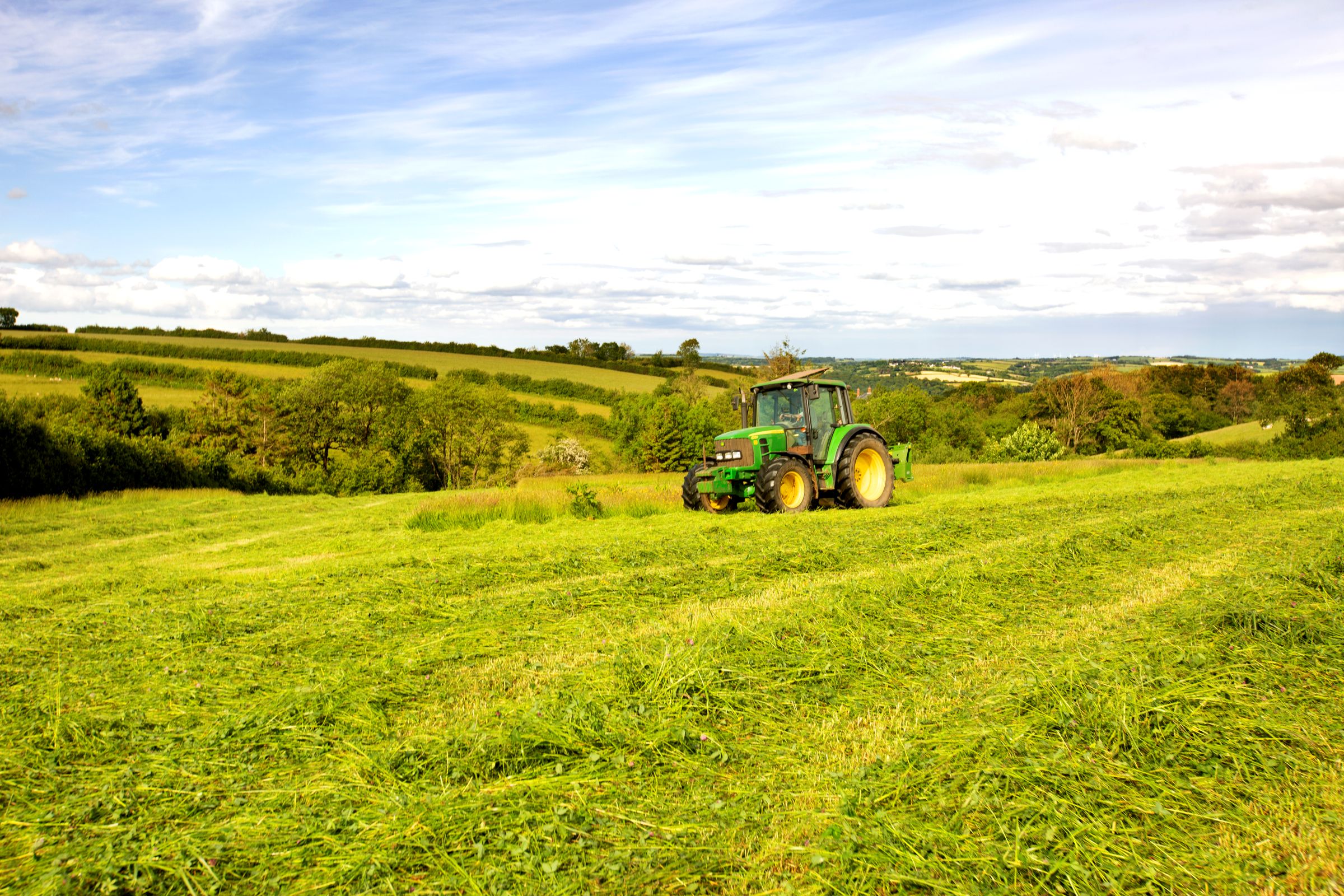 A tractor cutting grass for silage