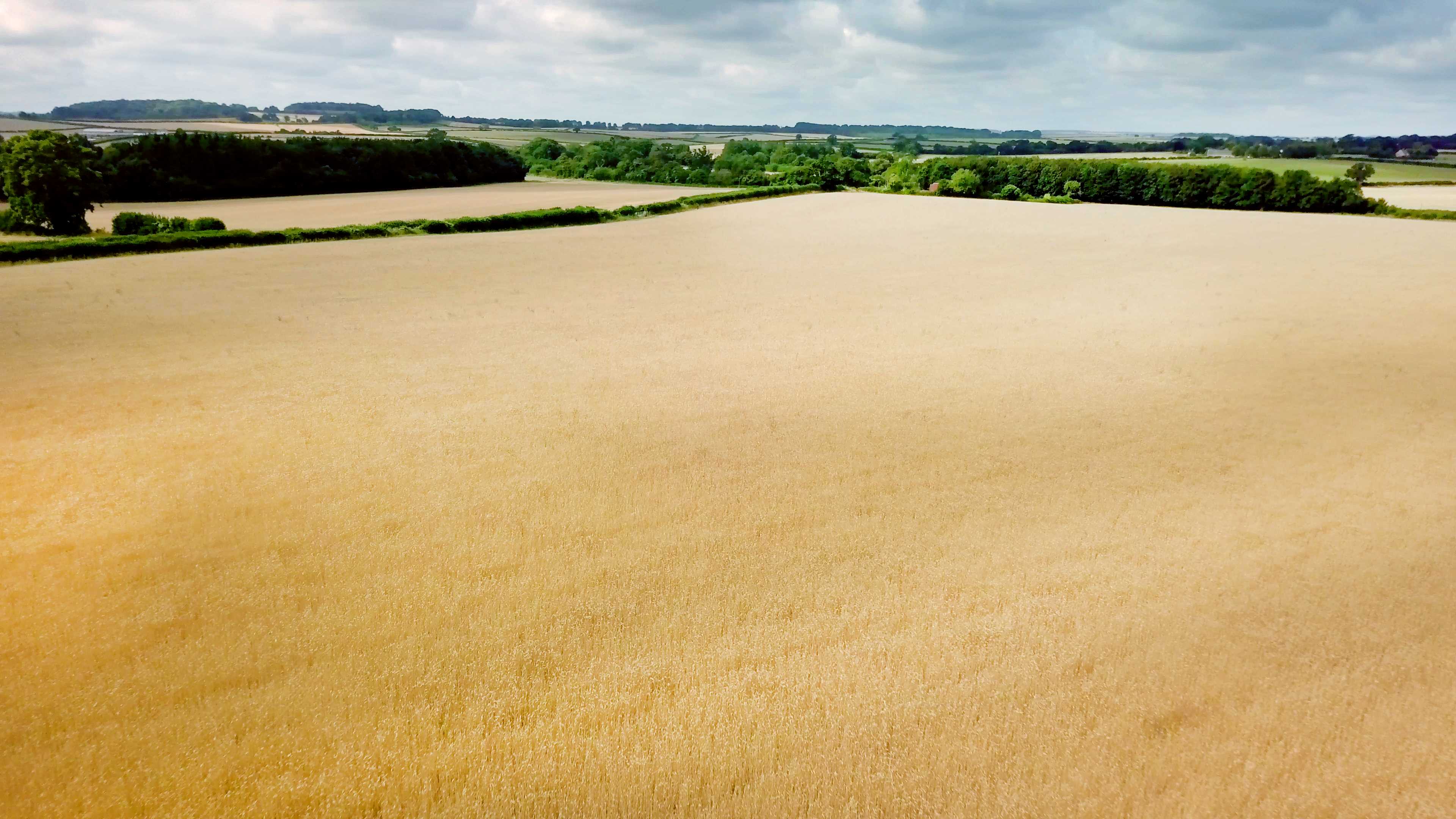 arable-farm-organic