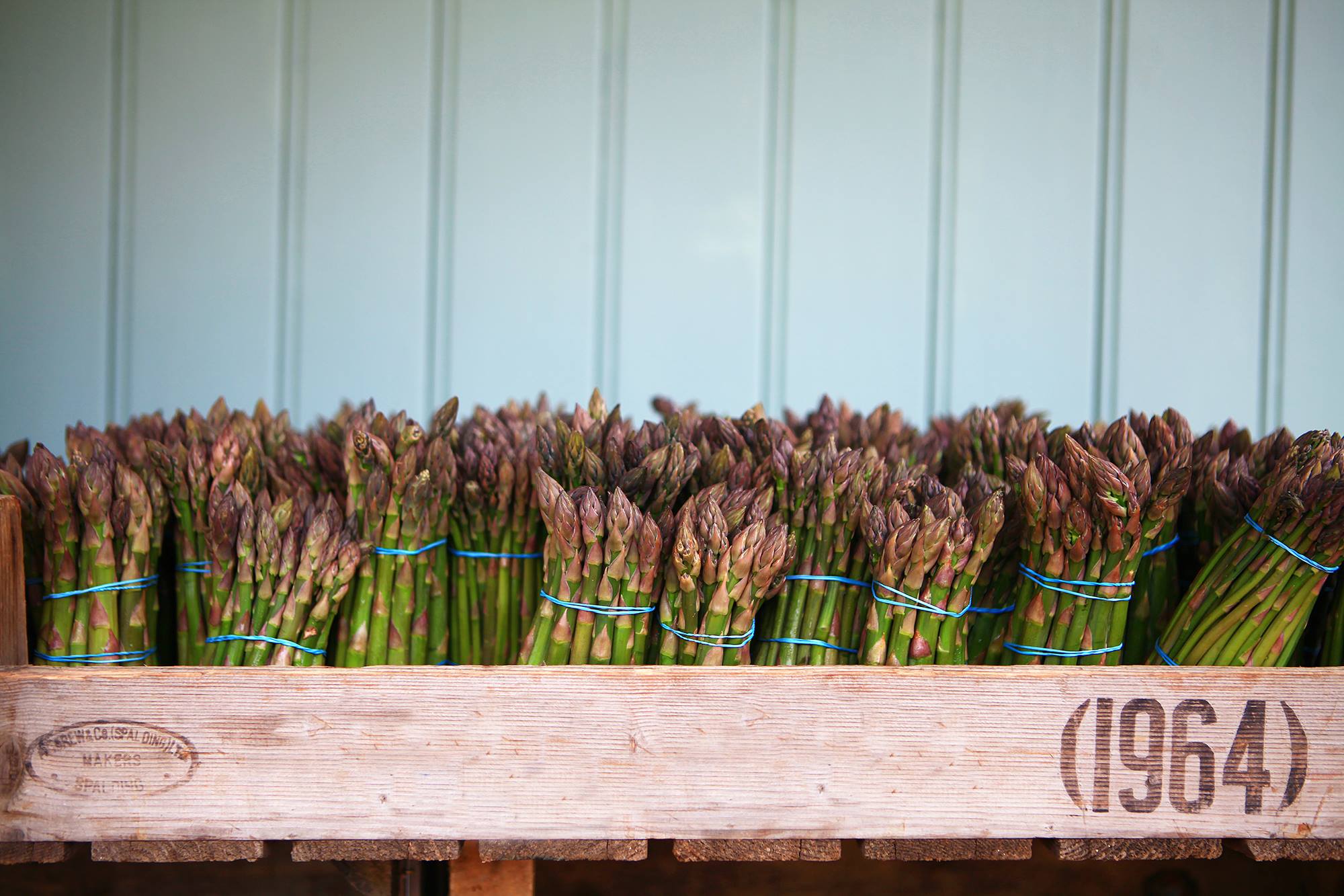 Bunches of asparagus in a box