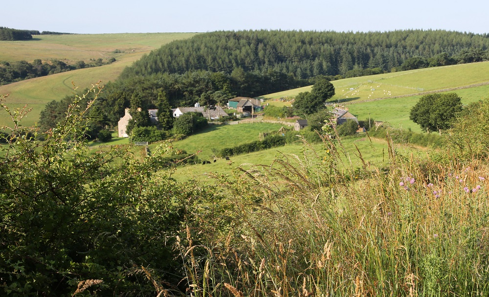 barnsidefarm_july2019-cro