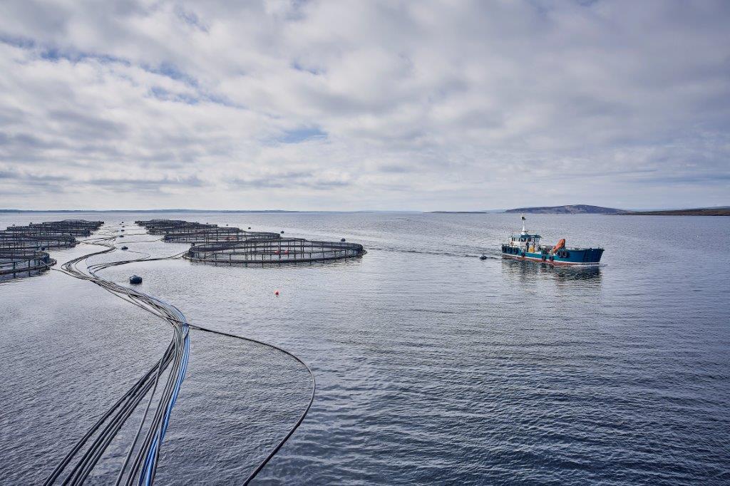 A ship and fishing equipment with on open waters