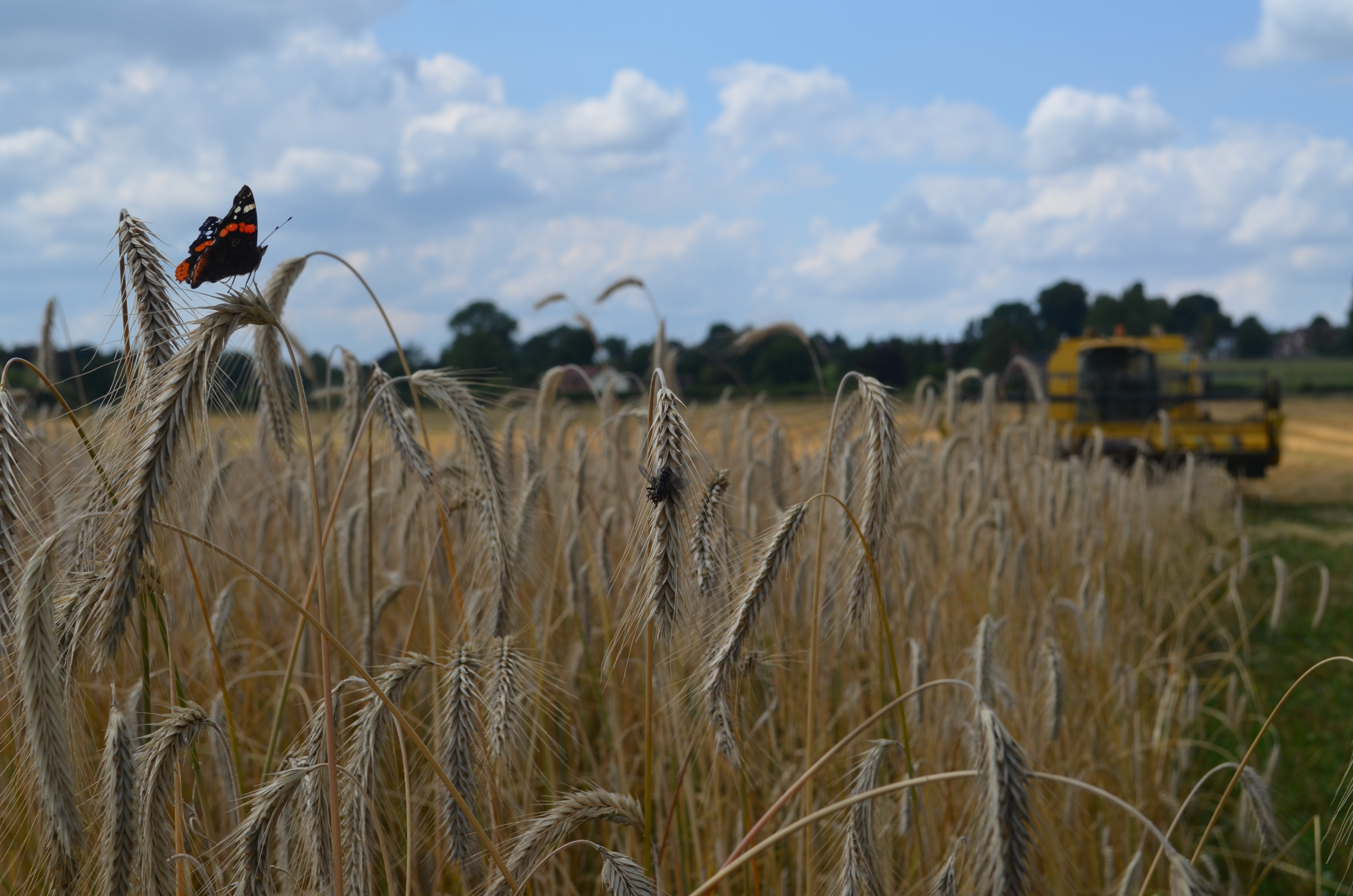 climatefield