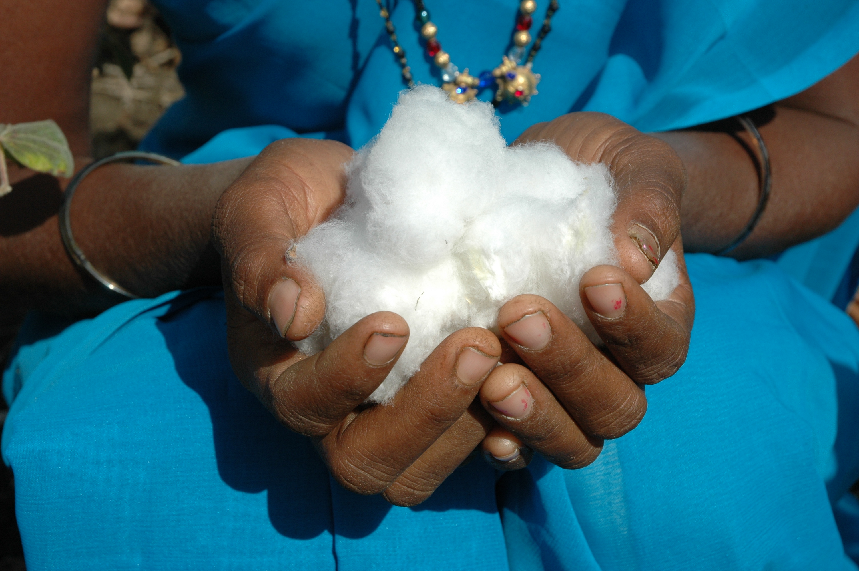cotton-in-hands