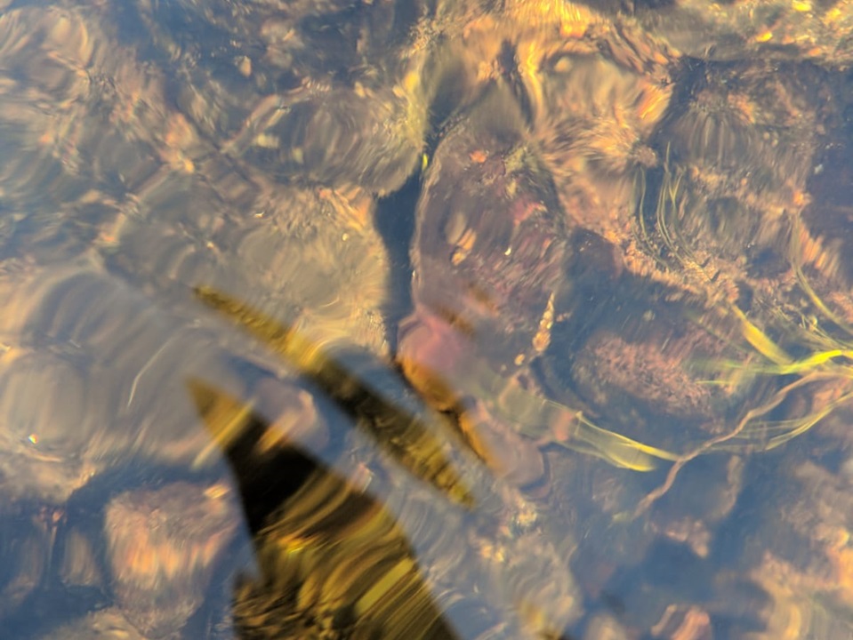 Ending river pollution in the UK