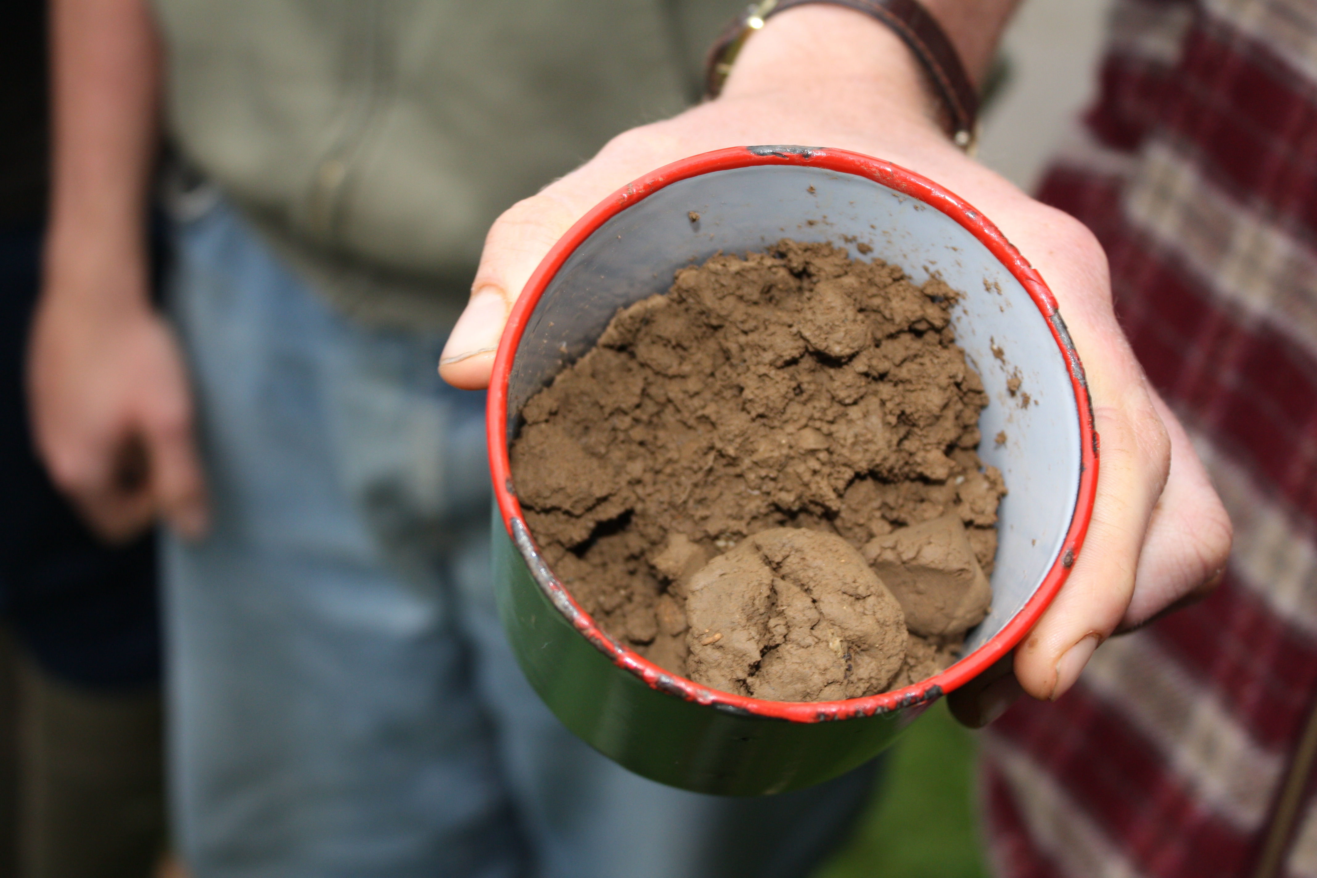 A cup of soil