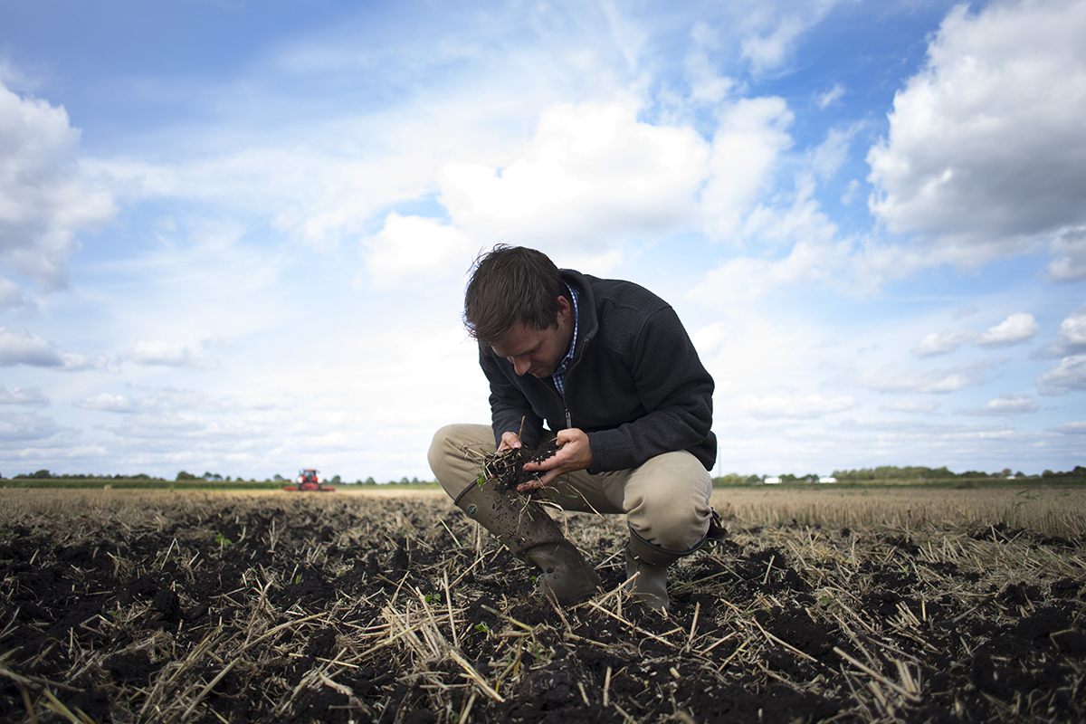 Man crouching to examine soil. 