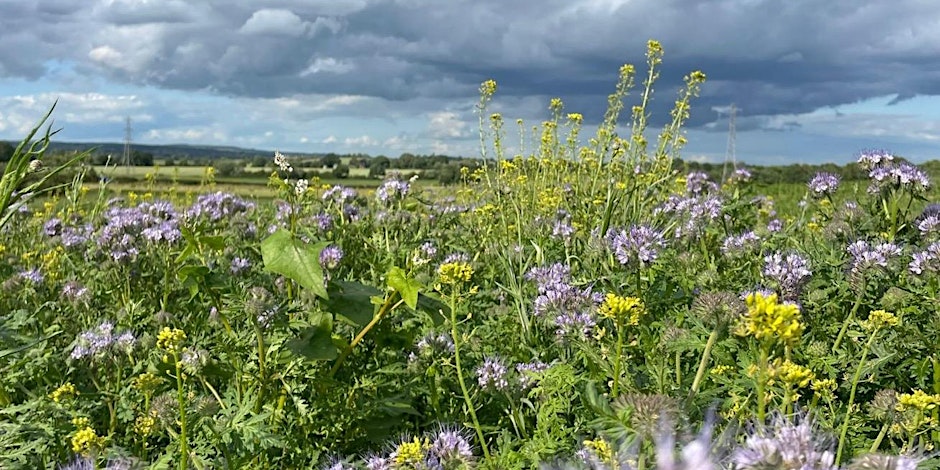 field-hall-farm