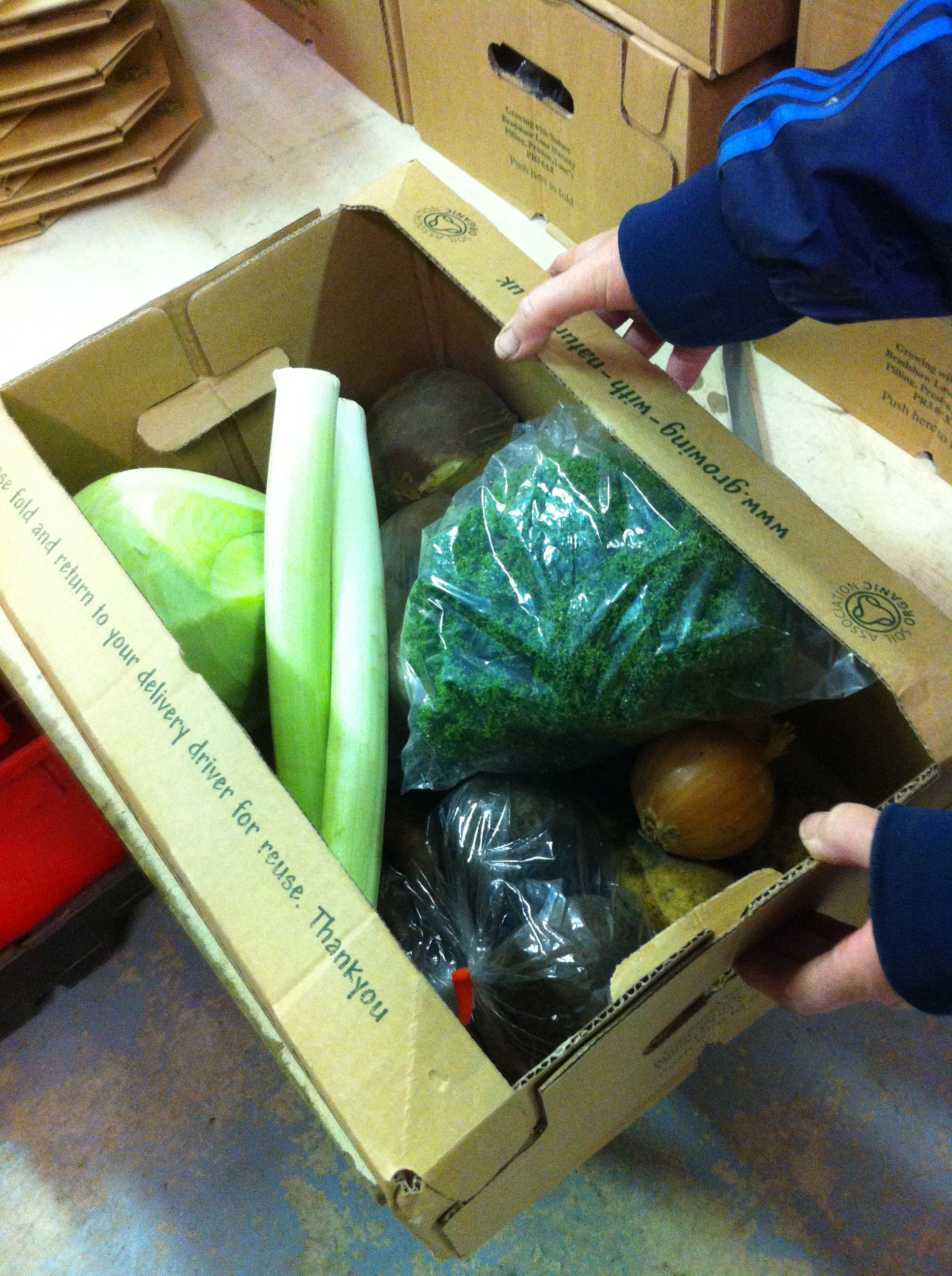 A box of vegetables 