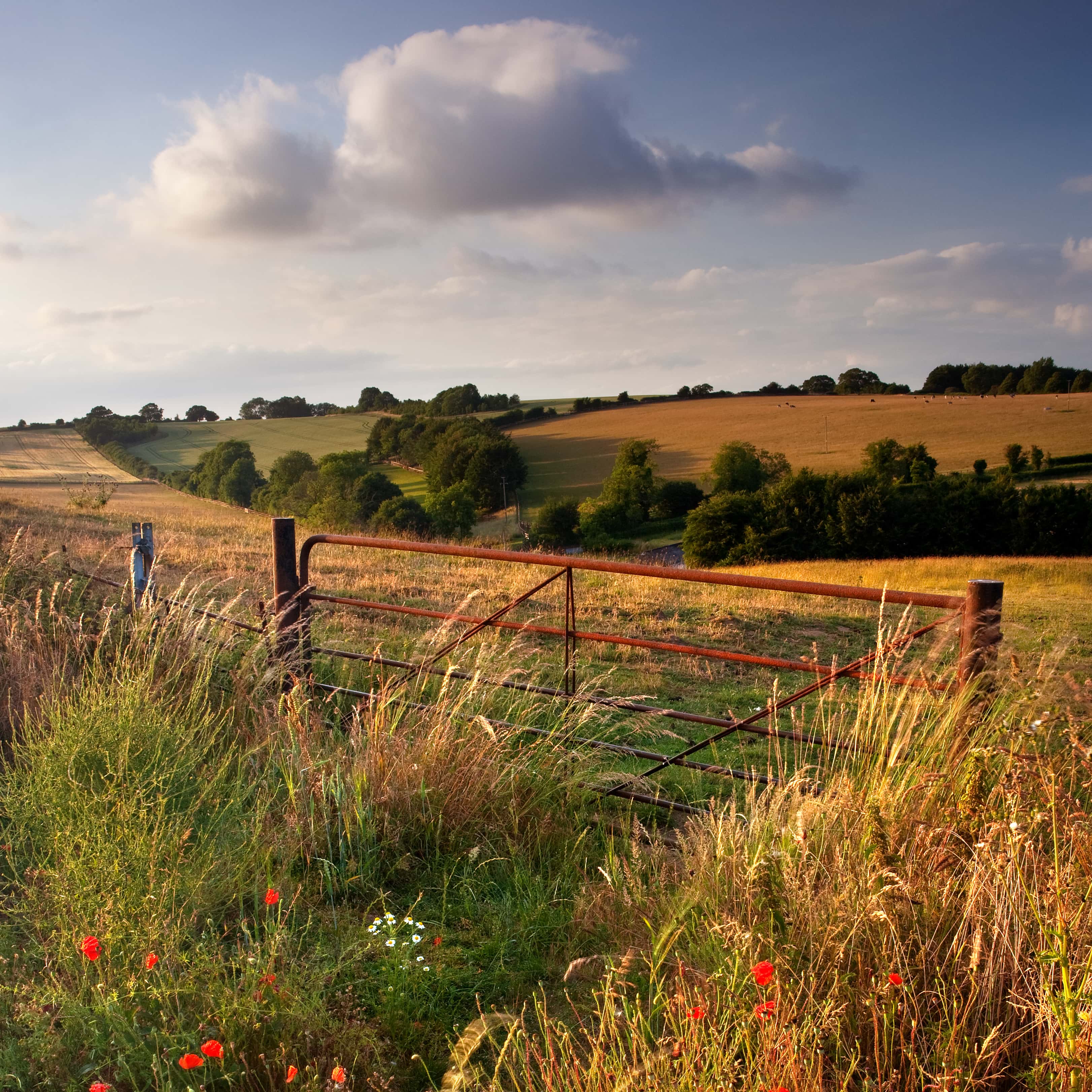 land-trust-lanscape-2