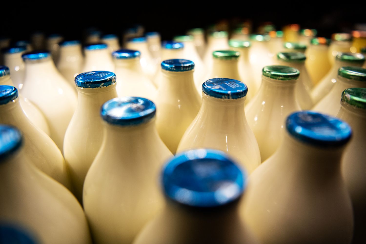 Glass milk bottles with metallic blue and green lids