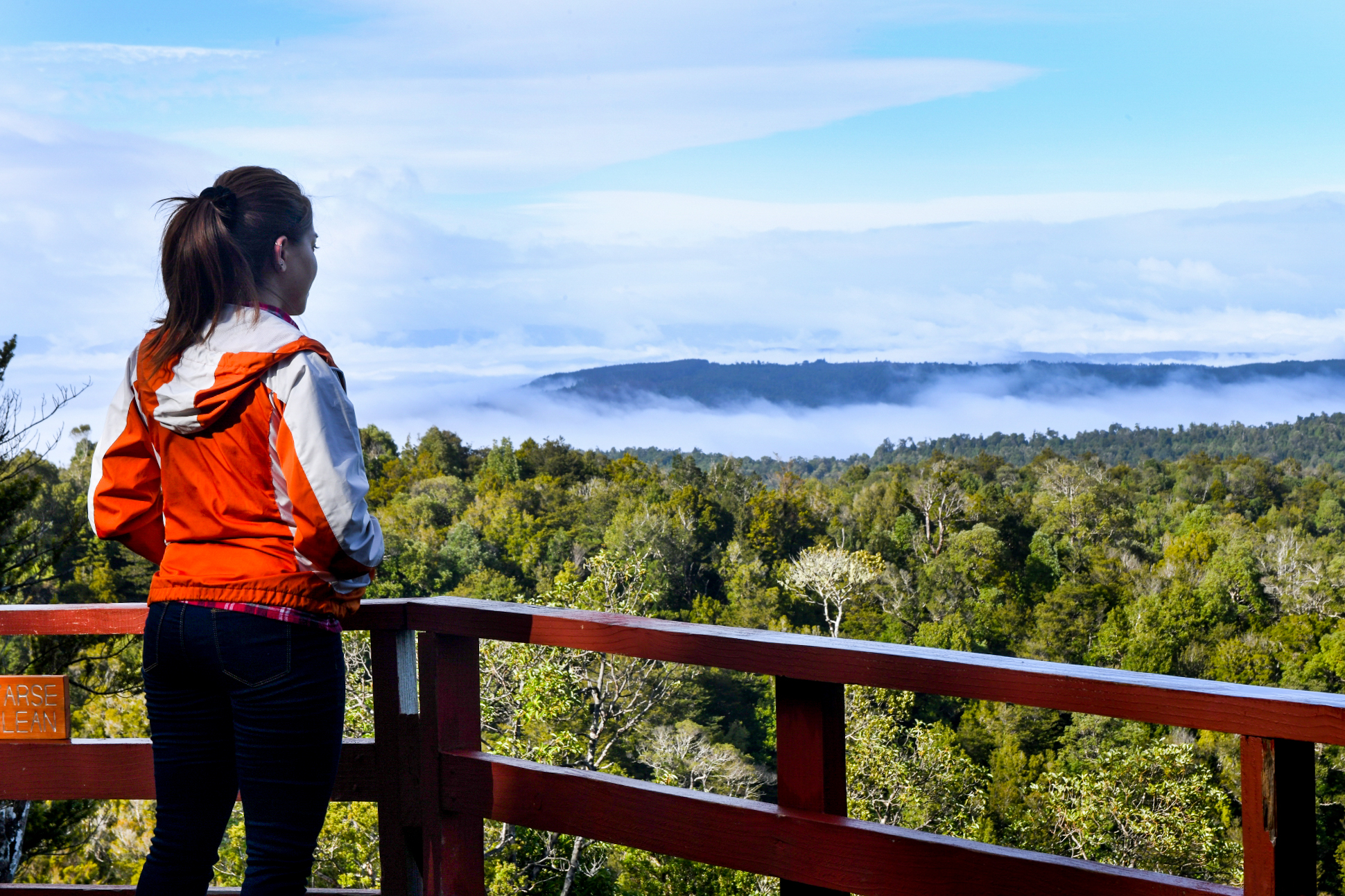 woman-overlooking-forest