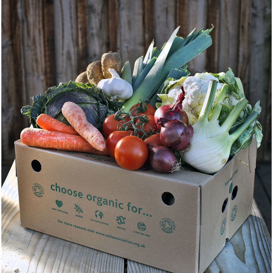 A cardboard box with a selection of vegetables on top