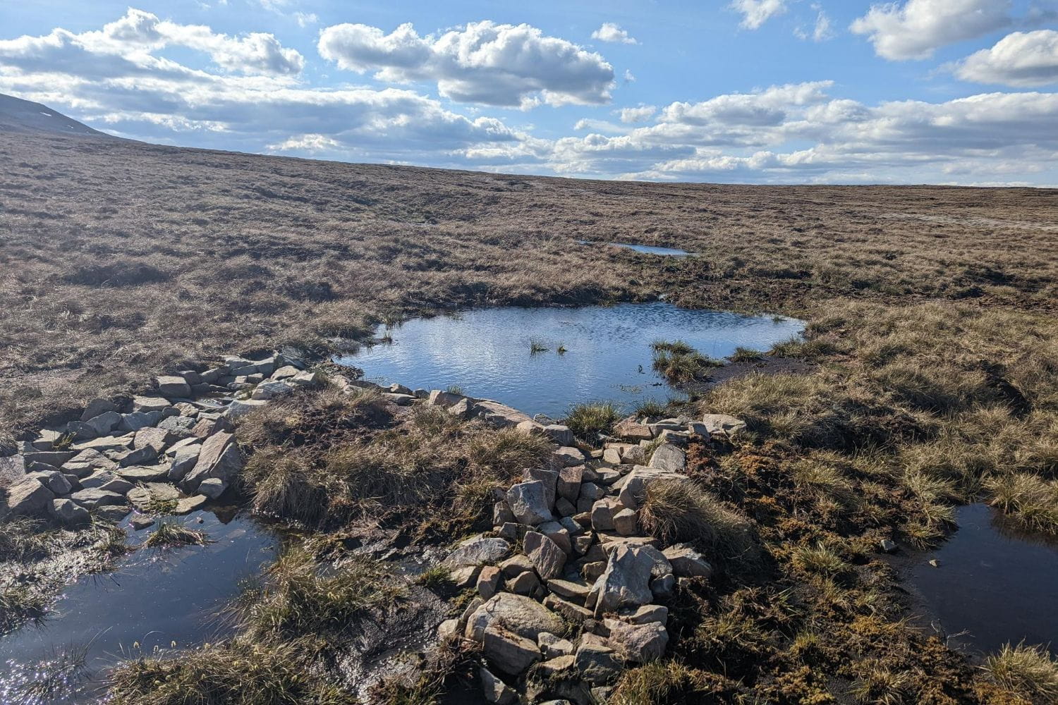 Rugged heath with rocks and water