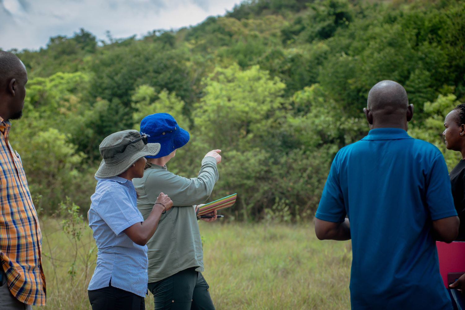 Five people gathered near a woodland, pointing at the trees as if in discussion about them