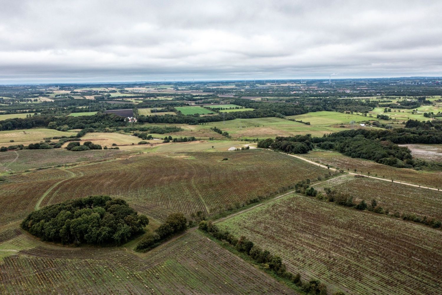 An aerial view of fields and trees