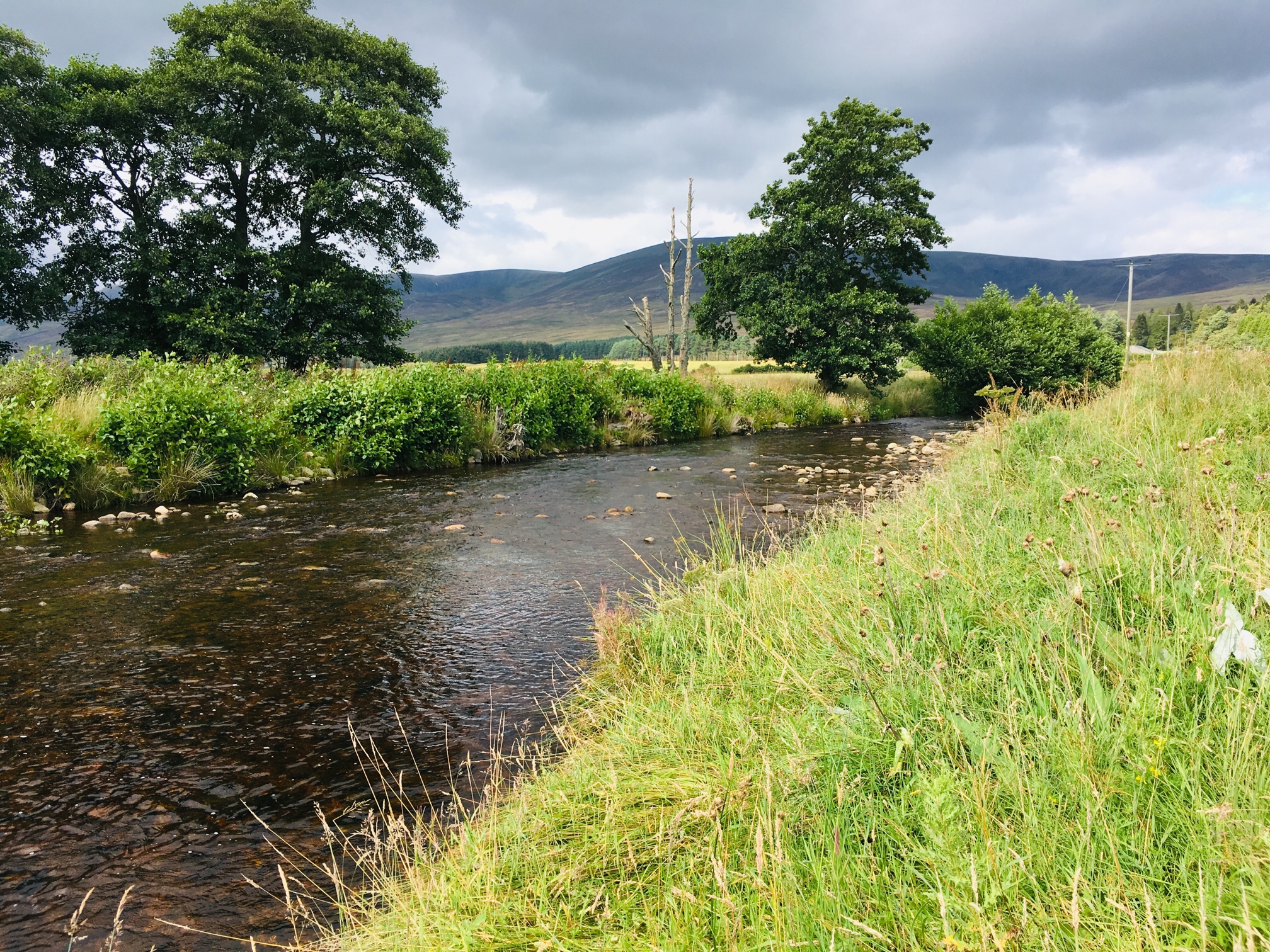 river_flowing_non_organic
