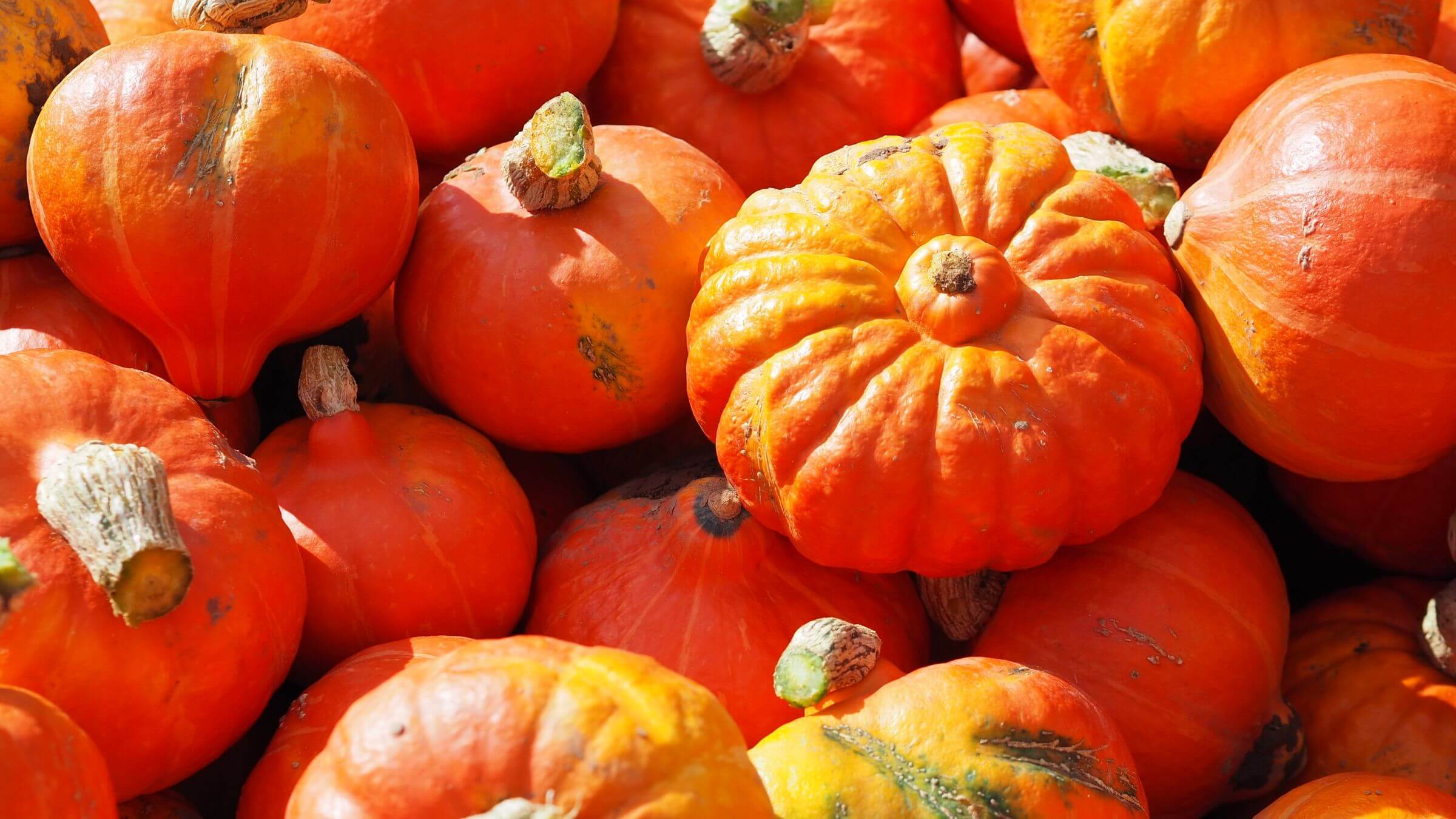 Organic product supplier search