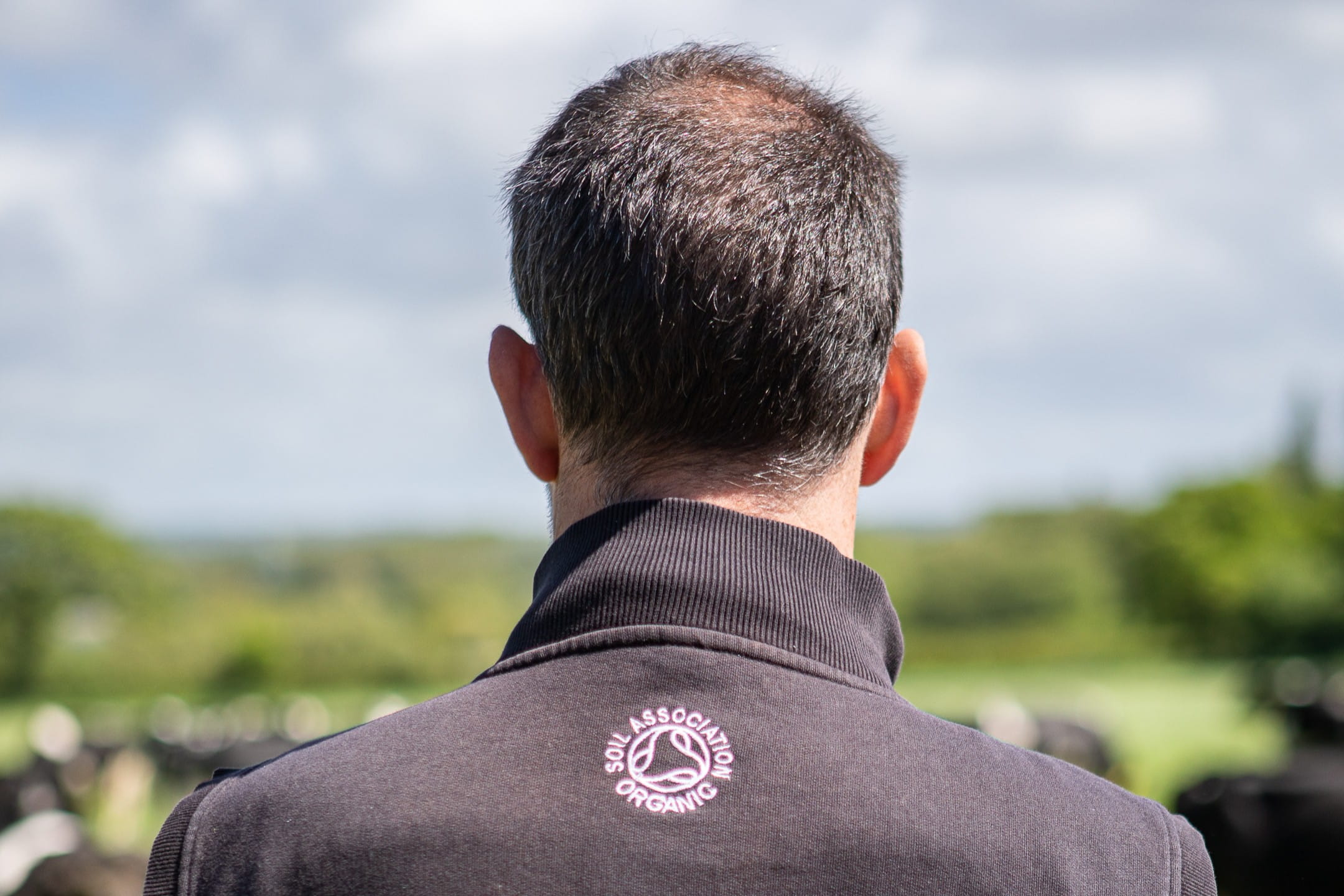 A man wearing a jumper emblazoned with the Soil Association organic symbol looks out over a field of cows