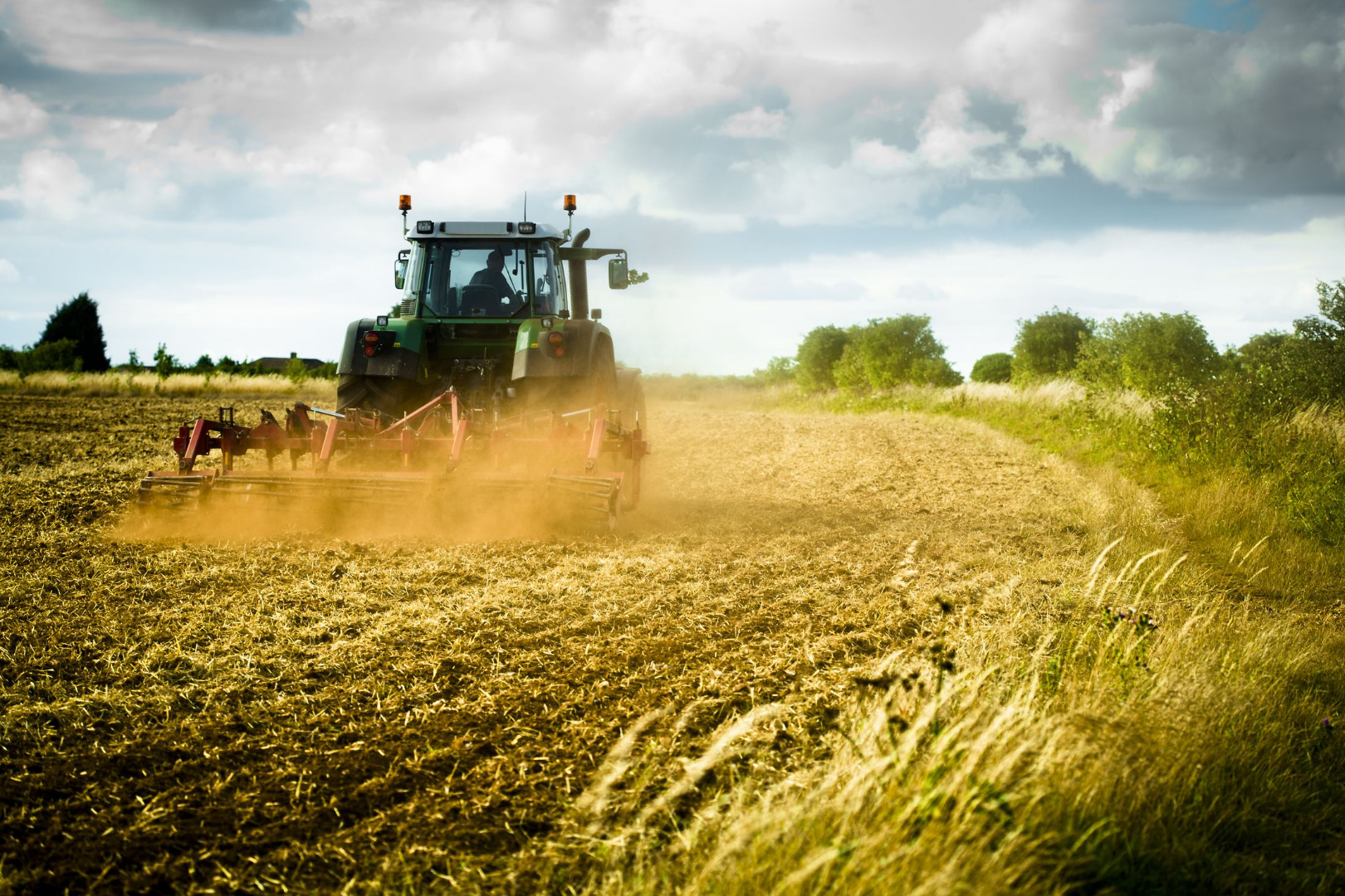 A plough creates a browny-orange cloud as it is pulled through a field of wheat. 