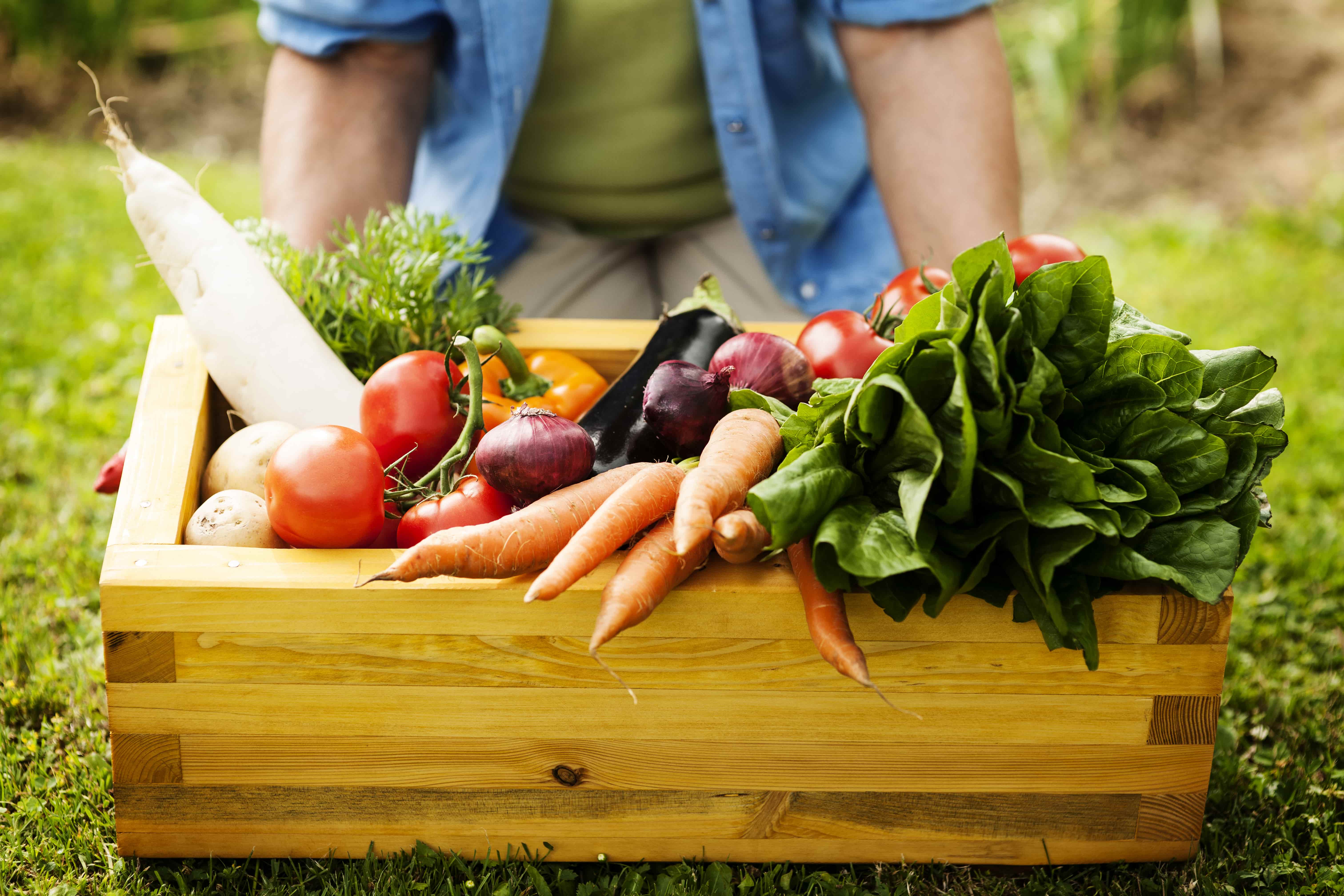 Horticulture prices