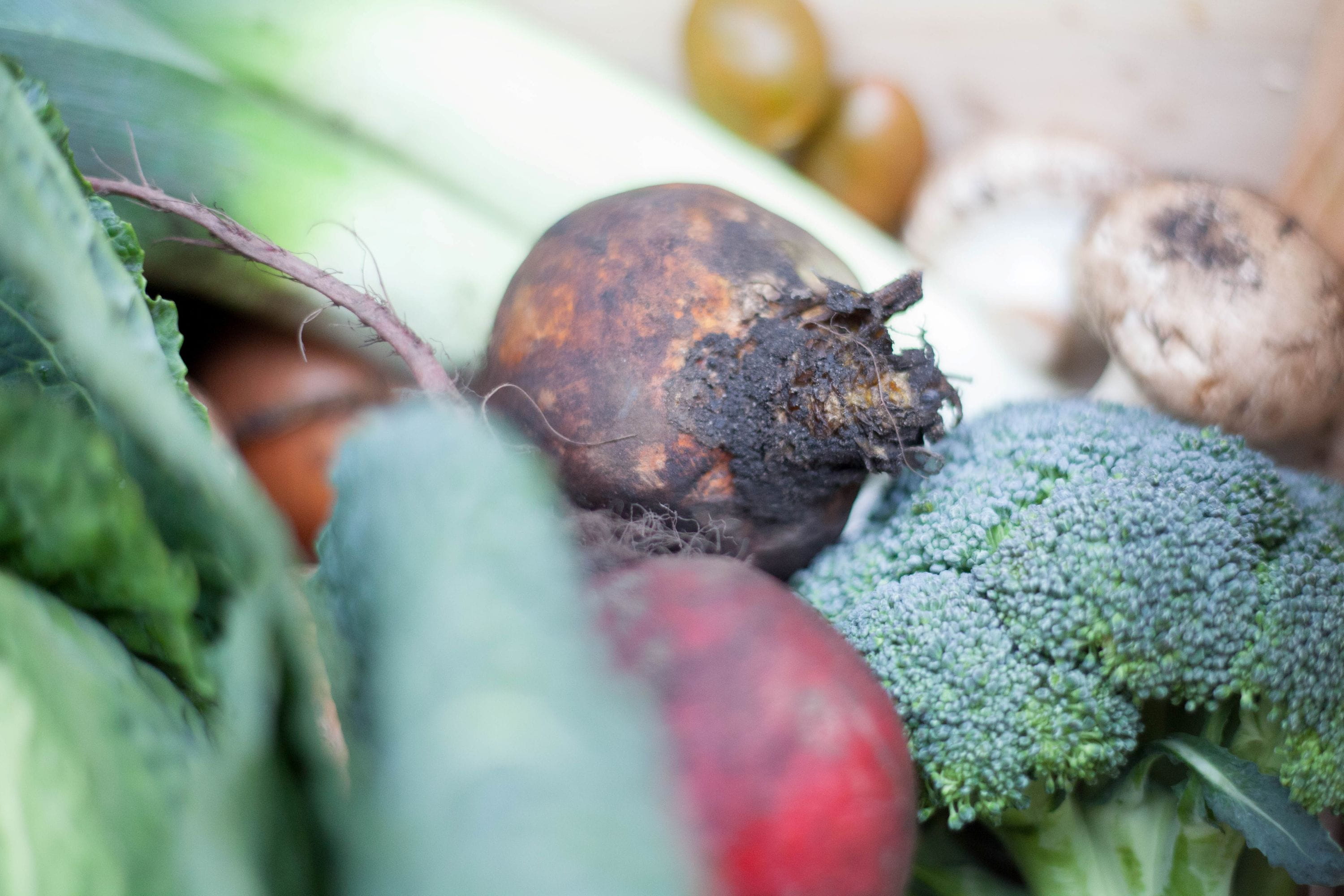 Organic market report