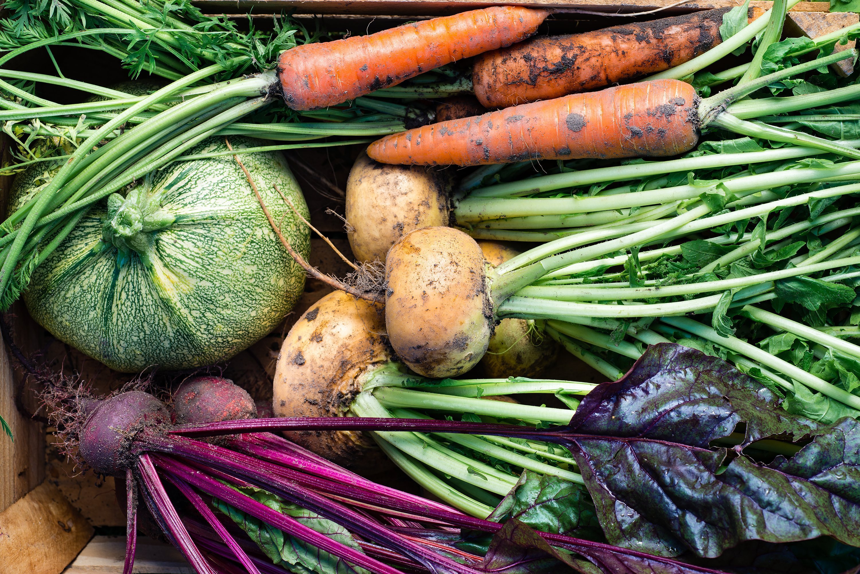A selection of fresh uncooked vegetables