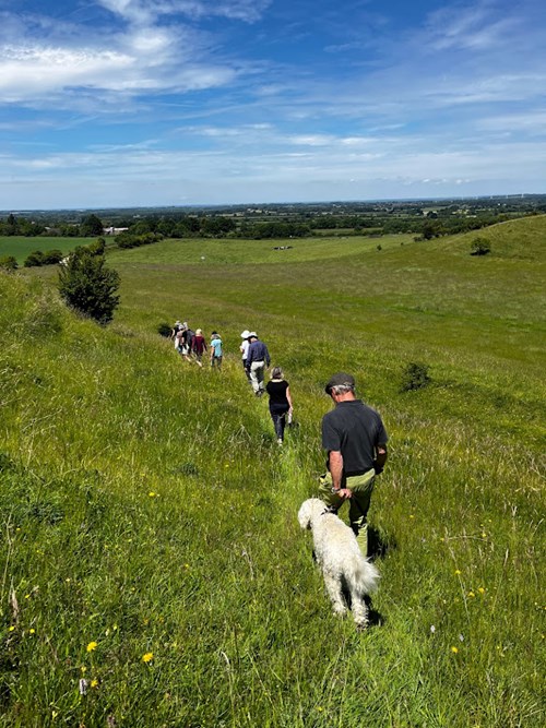 walking-downhill-in-field_eastbrook-visit-june-2022_creditscd_non_organic.jpg