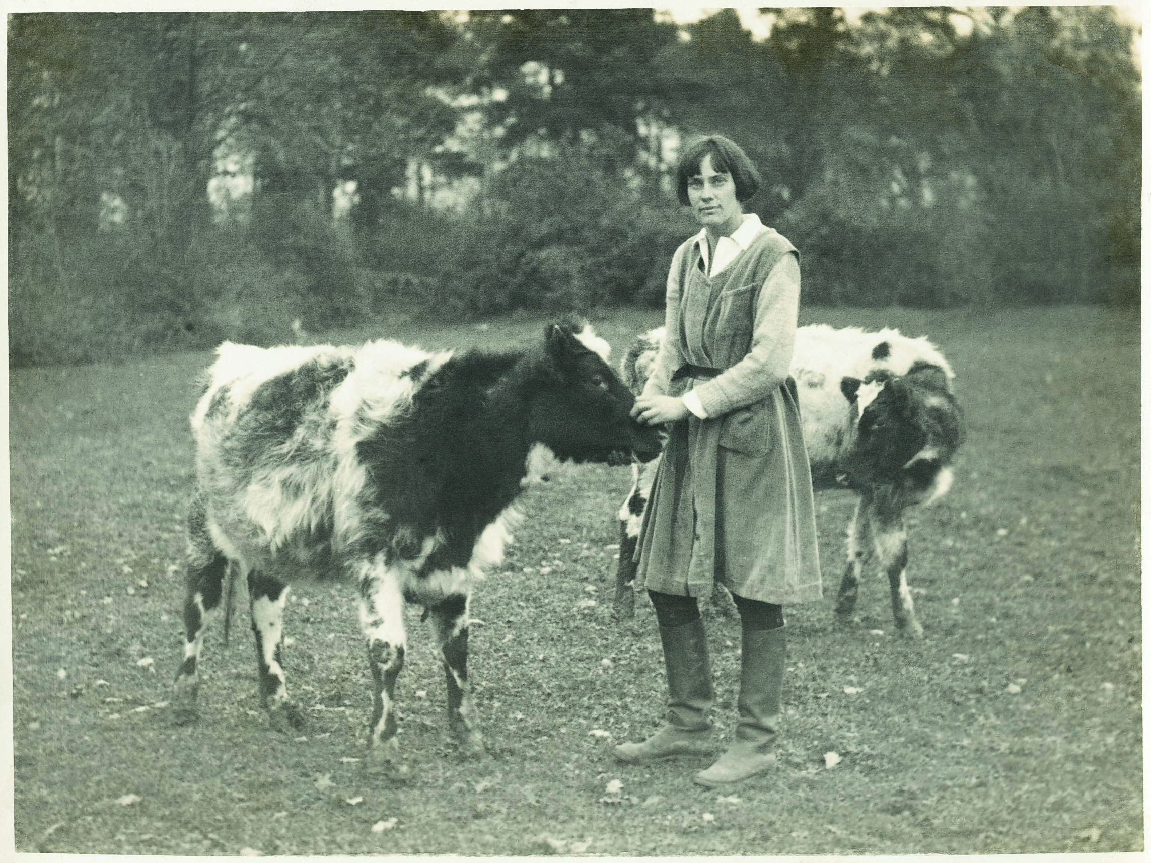 with-calves