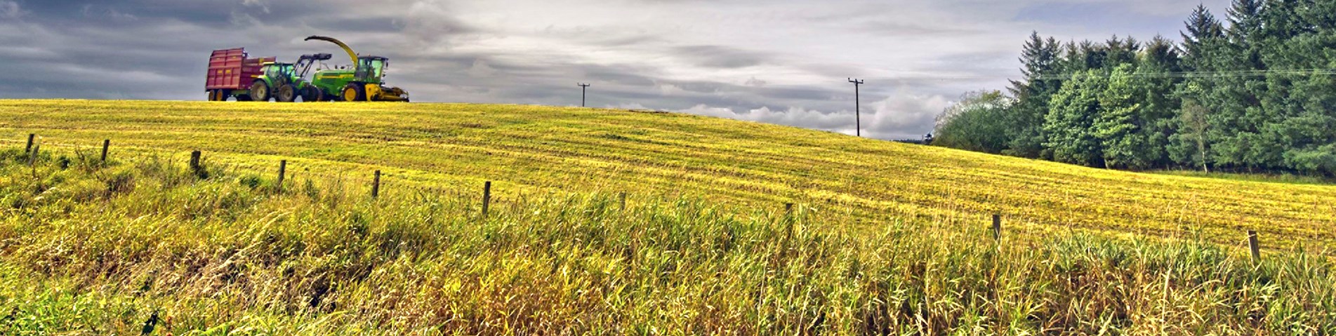 A tractor driving across a landscape with a yellow field and forest