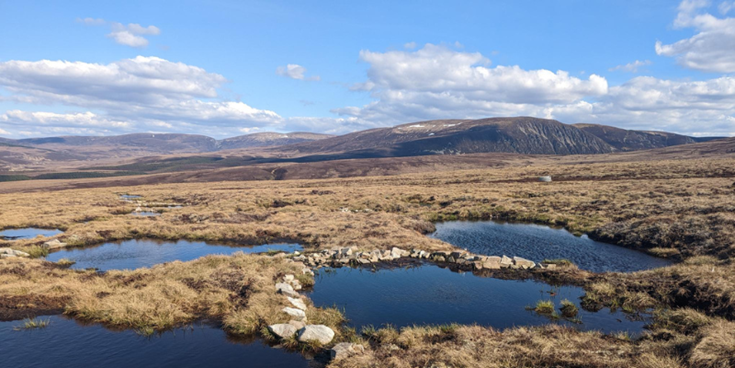peatland-code-project-moorfoot-hills-scotland_organic